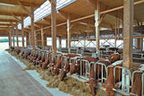 Stiegl-Gut.jpg © Hatheier