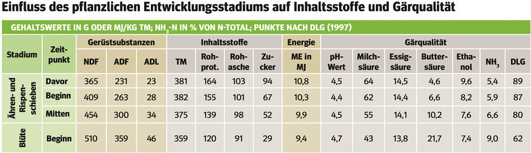 Erfolgsfaktoren für eine perfekte  Grassilagequalität.jpg © Archiv