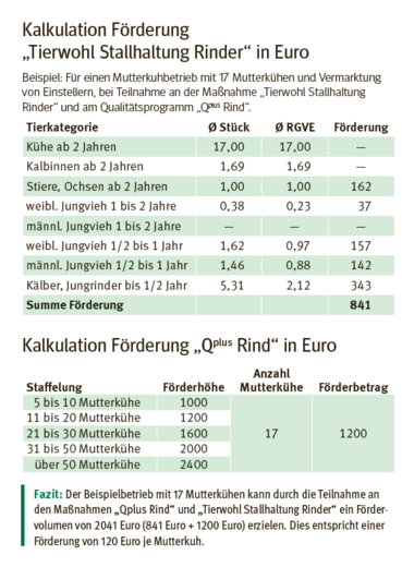 Kalkulation Strohförderung.png © LK Kärnten