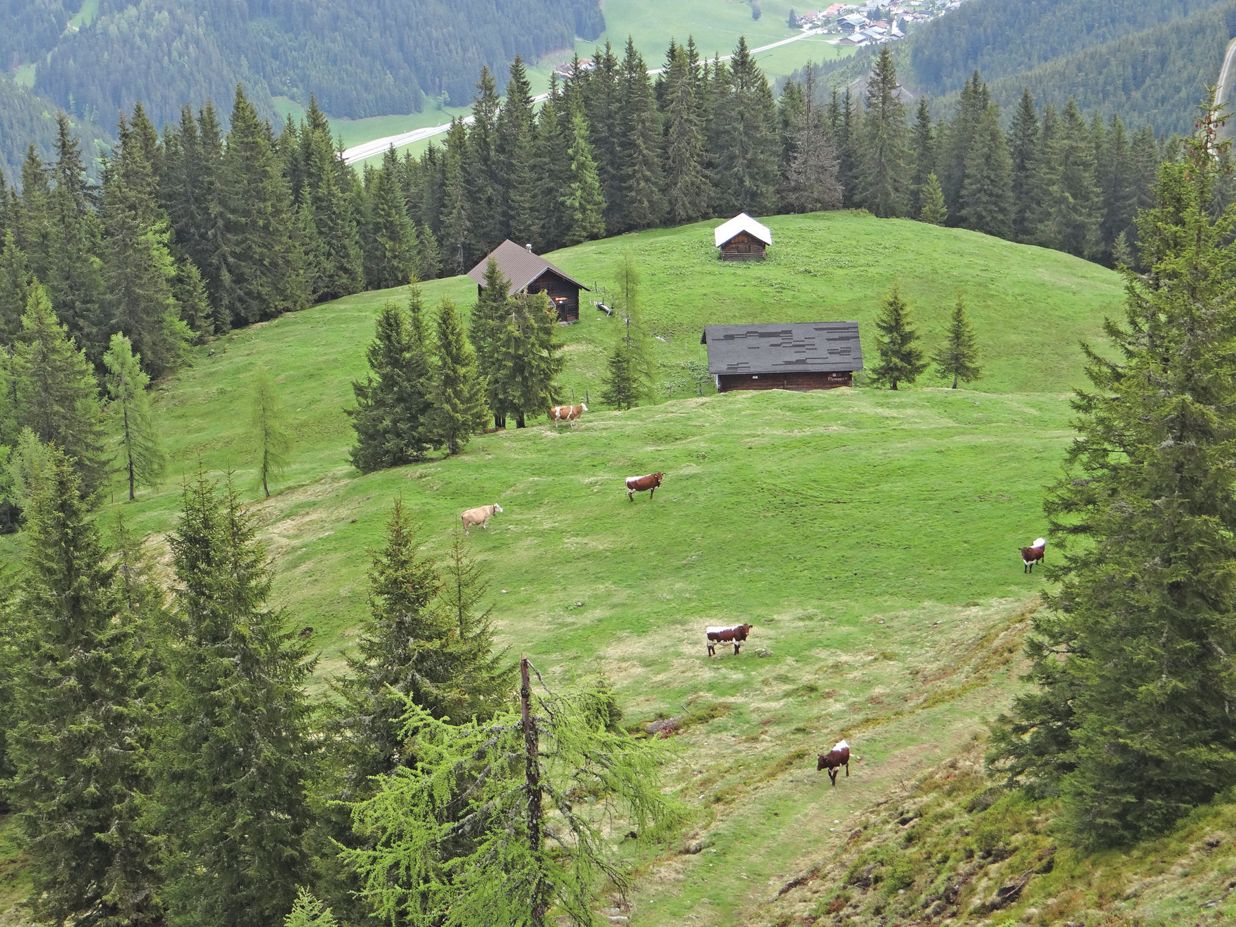 Den richtigen Auftriebszeitpunkt nicht verpassen.jpg © Fürstauer-Reiter Den richtigen Auftriebszeitpunkt nicht verpassen.jpg © Fürstauer-Reiter