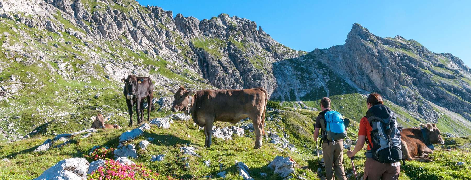 Wanderer alm.jpg © ARochau – stock.adobe.com