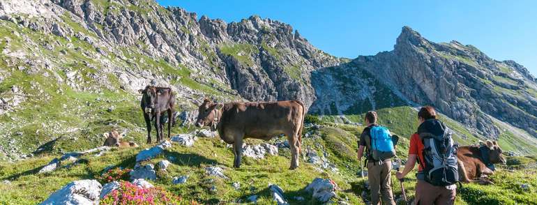 Wanderer alm.jpg © ARochau – stock.adobe.com