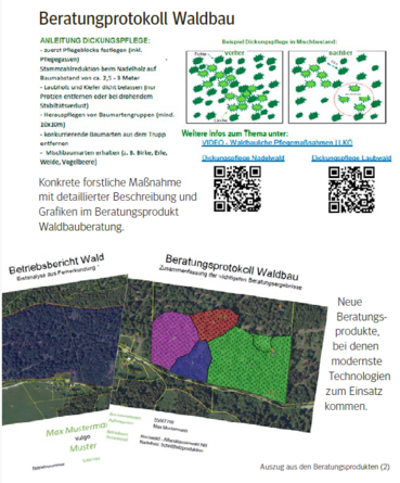 Beratungsprotokoll Wald.png © LK Kärnten Beratungsprotokoll Wald.png © LK Kärnten