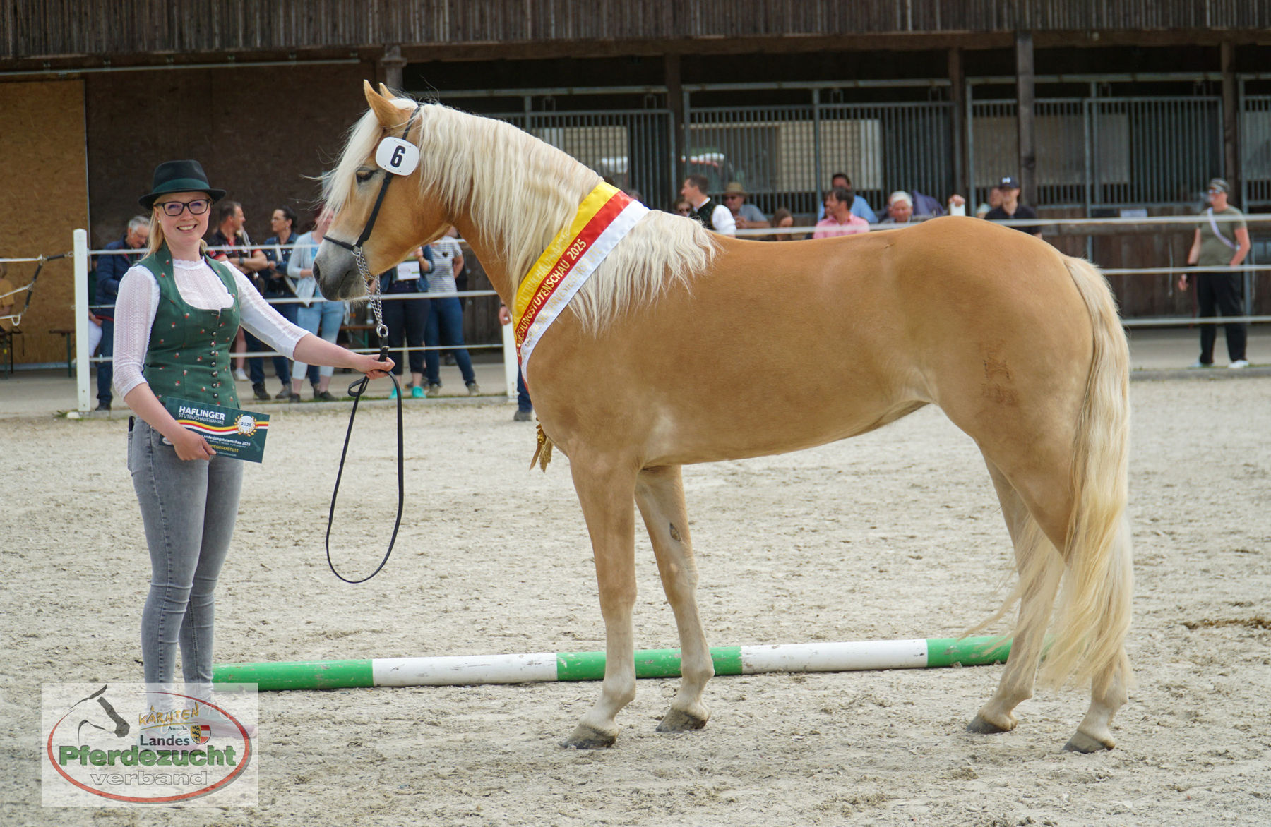 HA_STBA_LJS_2025-202 Latisana.jpg © Wuzella/ Landes-Pferdezuchtverband