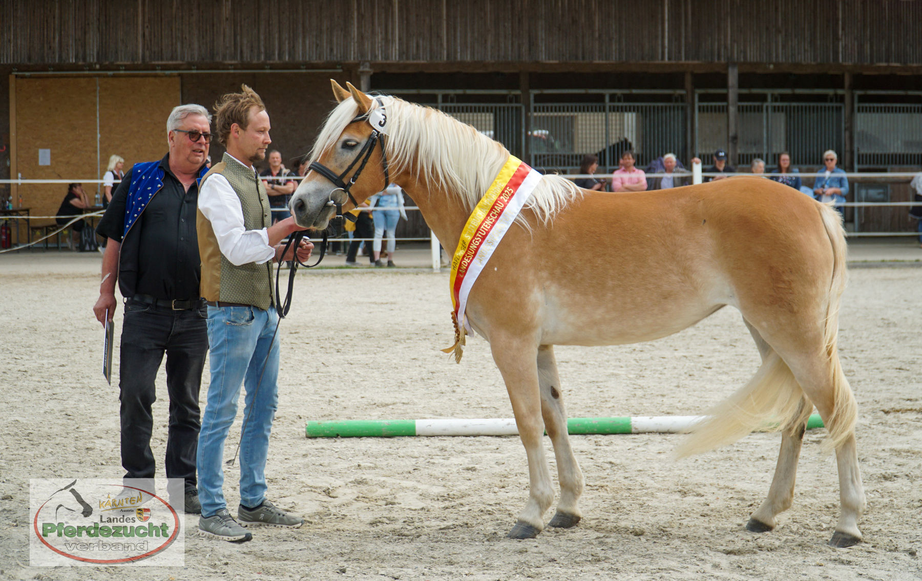 HA_STBA_LJS_2025-206 Mira.jpg © Wuzella/ Landes-Pferdezuchtverband