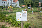 © LK Steiermark/Danner