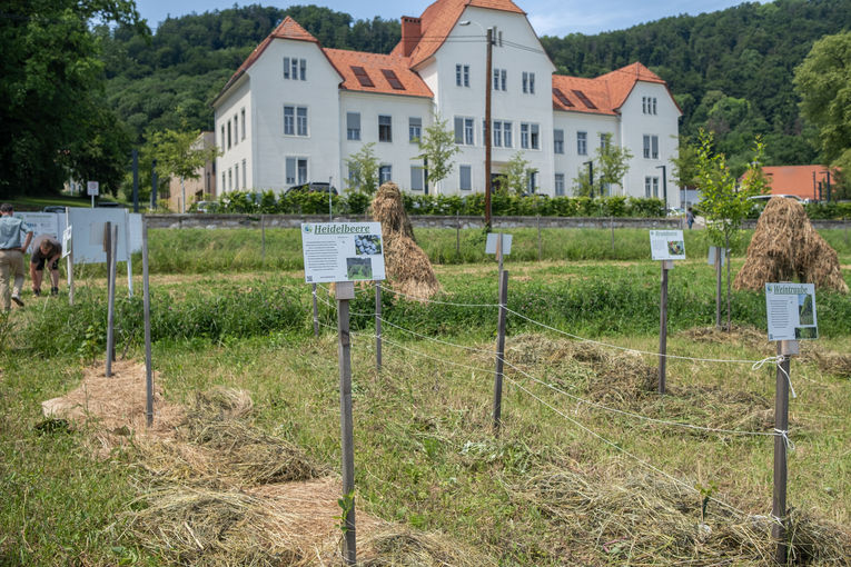 © LK Steiermark/Danner