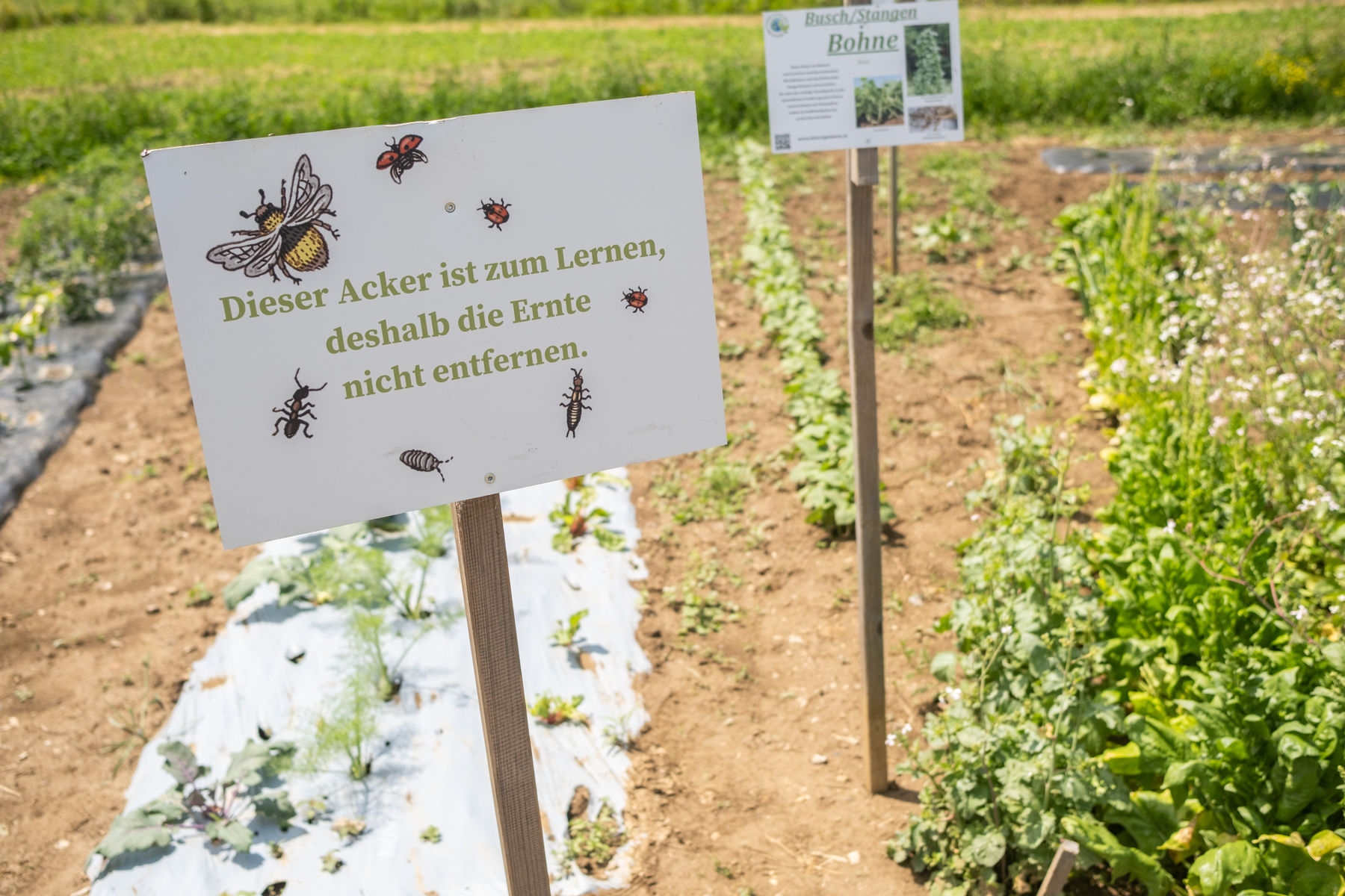 © LK Steiermark/Danner