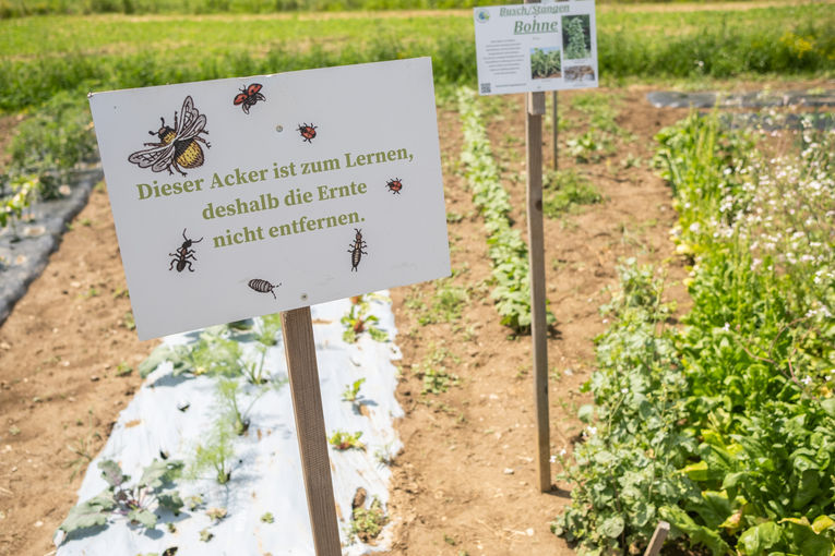 © LK Steiermark/Danner