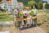 © LK Steiermark/Danner