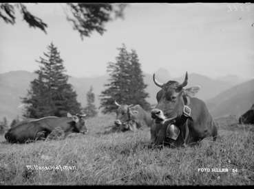Landwirtschaft früher.jpg © Bregenzerwald Archiv, Sammlung Hiller