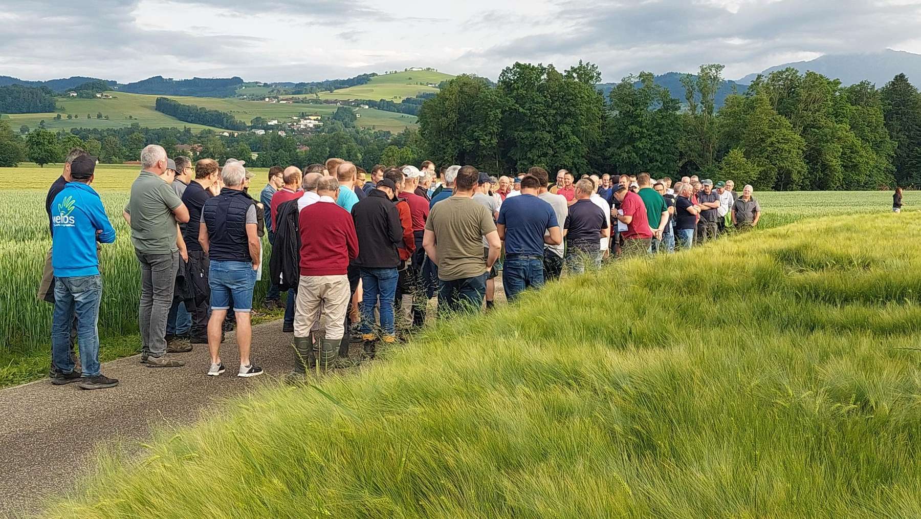 Feldbegehung Bezirk Kirchdorf am Betrieb Gebeshuber, 5. Juni 2025