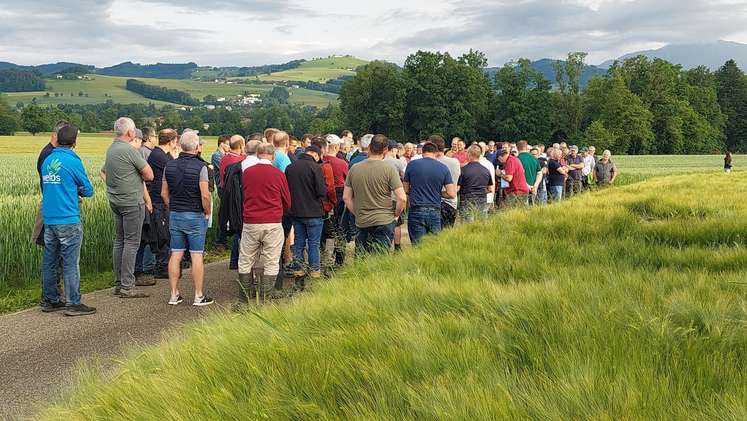 Feldbegehung Bezirk Kirchdorf am Betrieb Gebeshuber, 5. Juni 2025