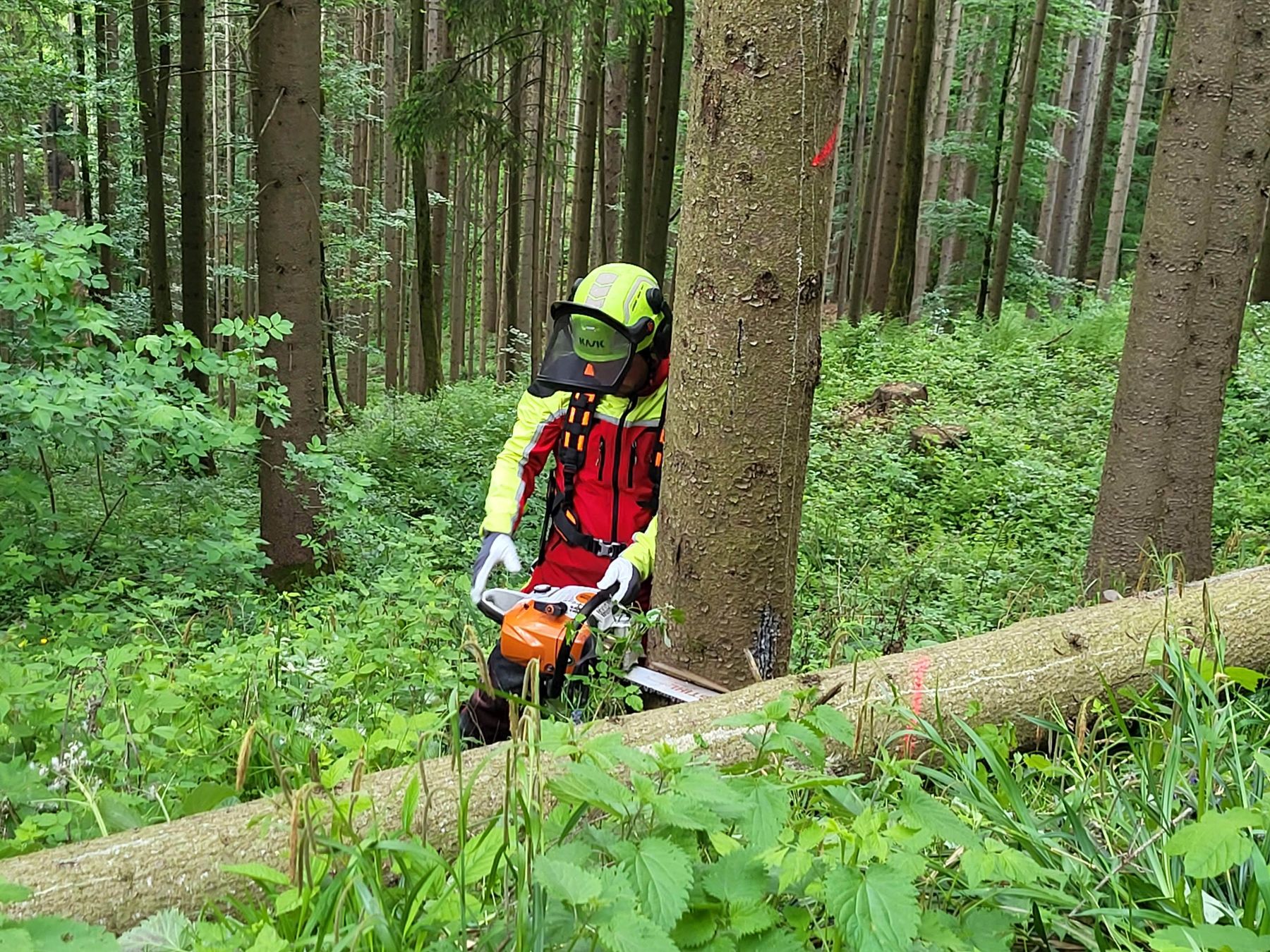 © LK OÖ/Frei-Ollmann © LK OÖ/Frei-Ollmann