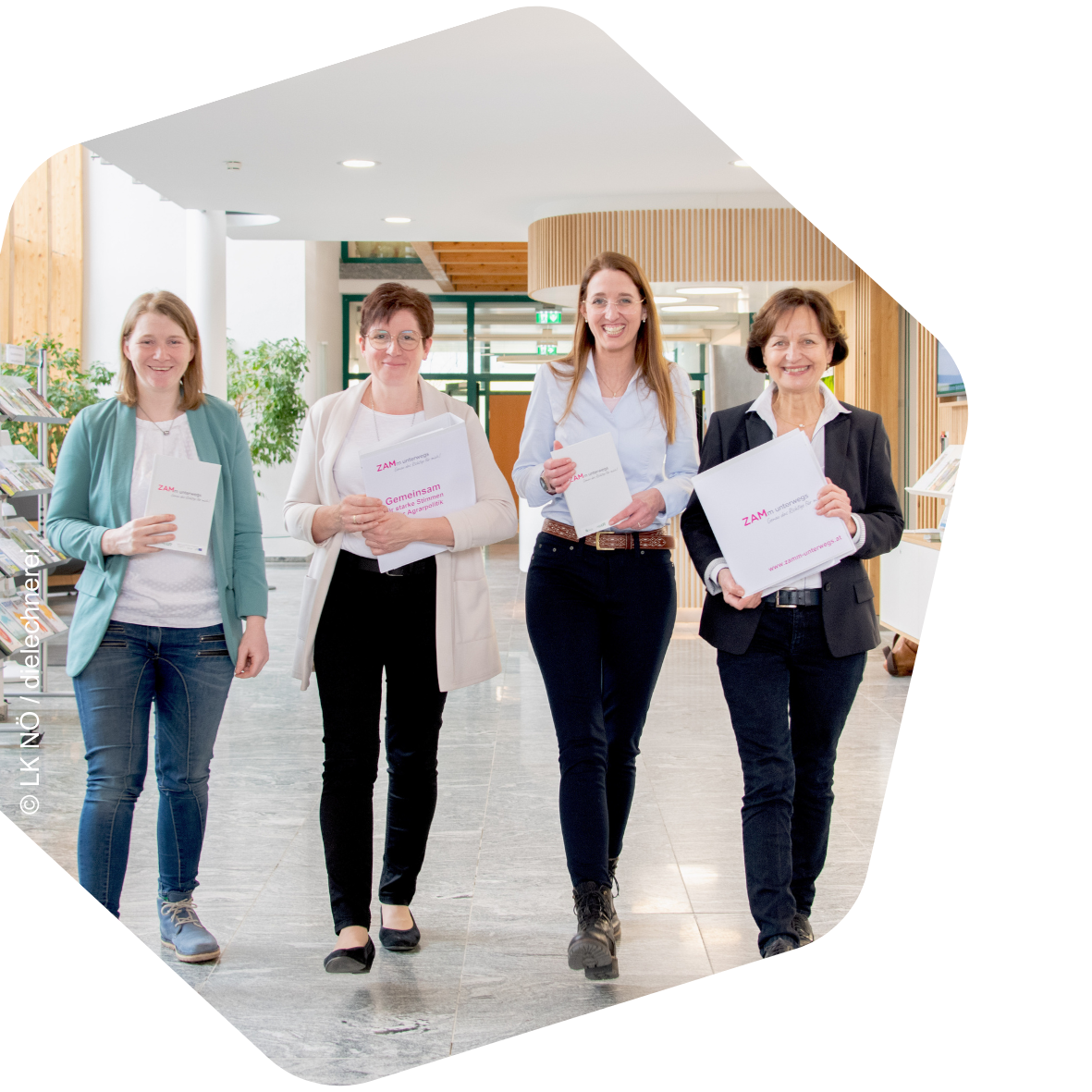 Bewerbungsbild ZLG ZAM 1.png © NÖ LK Bewerbungsbild ZLG ZAM 1.png © NÖ LK