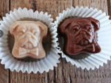sb23_mt_mops.png © Privat