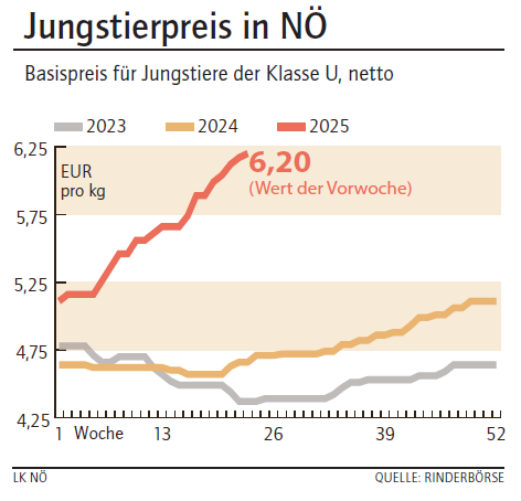 Grafik Stierpreis 24_2025.png © Archiv