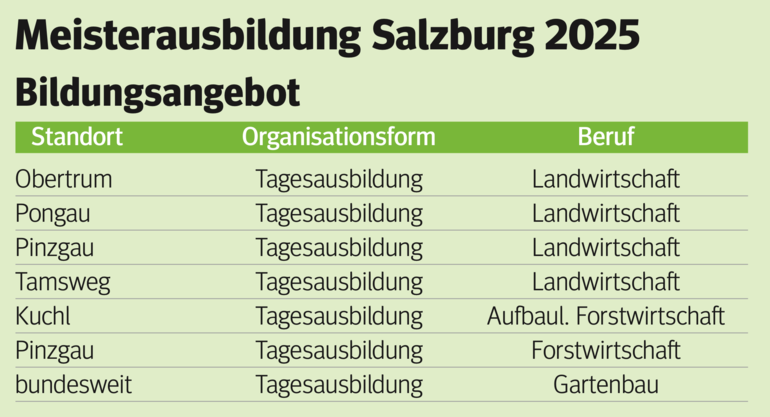 Meisterausbildung.png © Archiv
