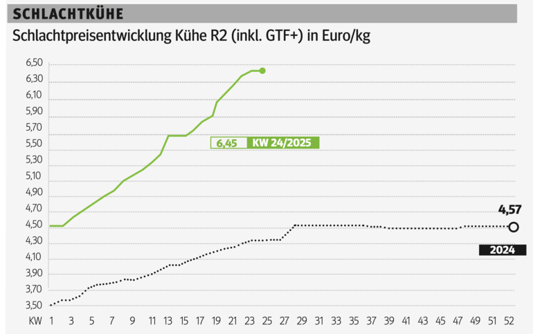 Schlachtkuhgrafik KW 24.png © Grafik RZV