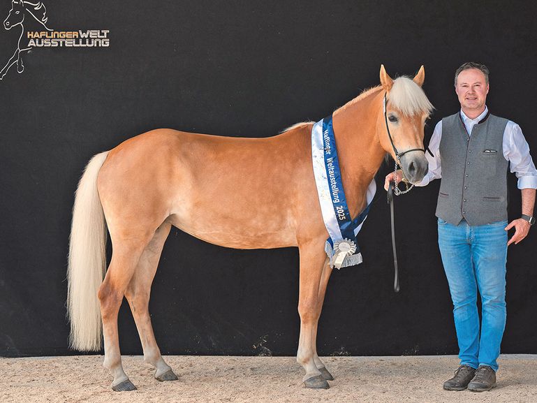 © Zauberlicht Fotografie © Zauberlicht Fotografie