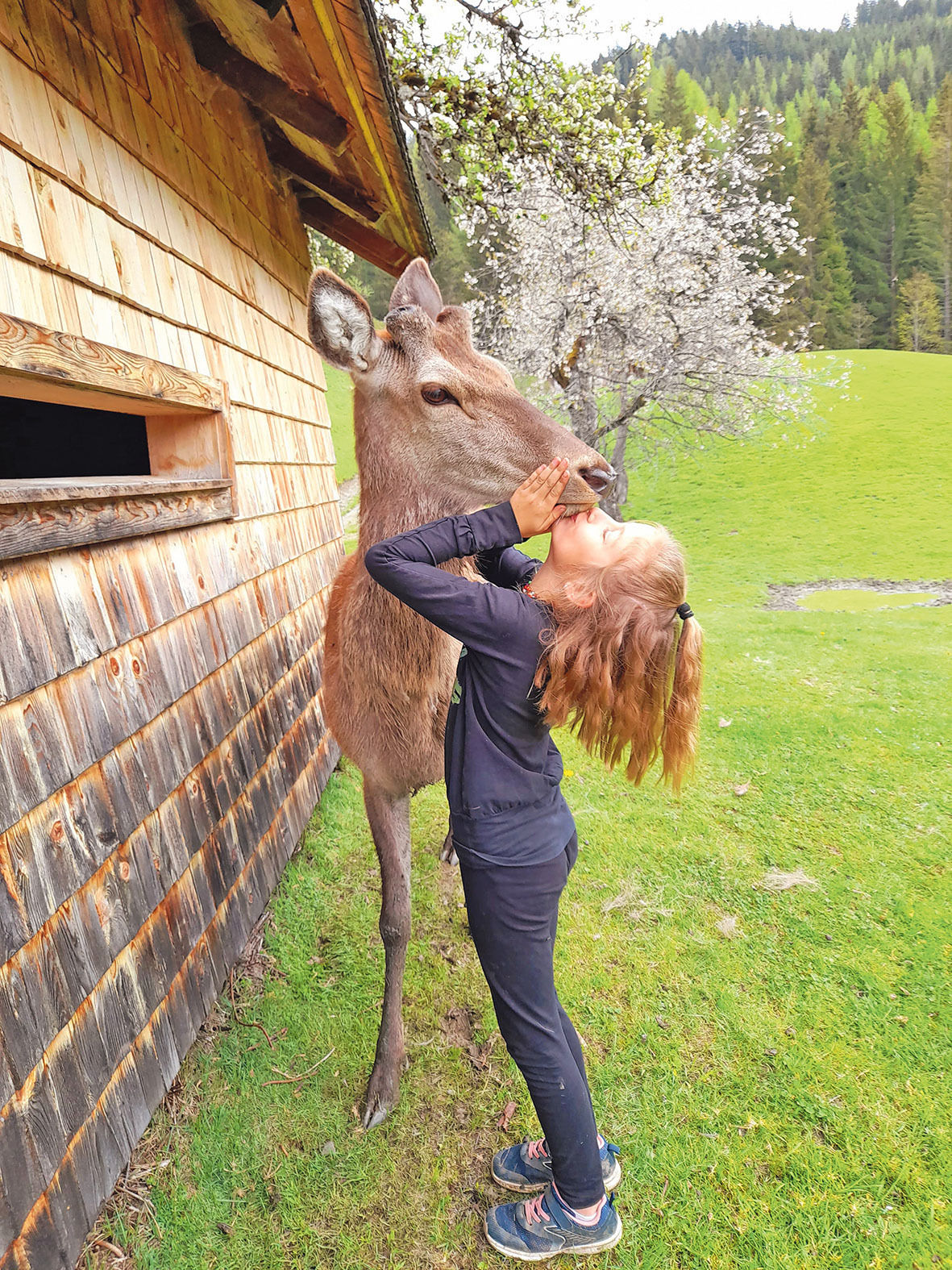 Hallmoosgut.jpg © Archiv