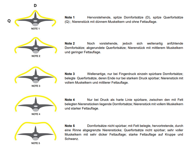 grafik 1.png © Agroscope, Fütterungsempfehlung für das Schaf