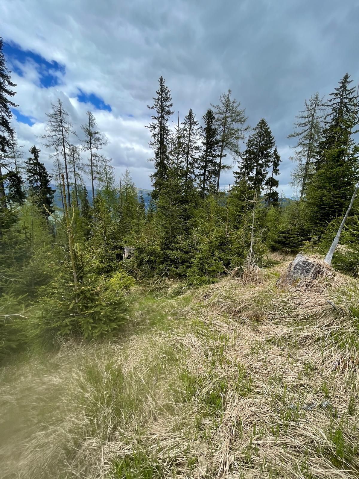 Läuterung 1.jpg © Kopp Läuterung 1.jpg © Kopp