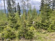 Läuterung 2.jpg © Kopp Läuterung 2.jpg © Kopp