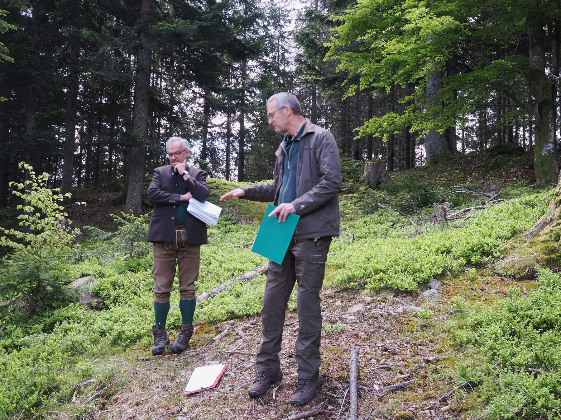 Lodron und Breitegger.jpg © Dr. Eckart Senitza Lodron und Breitegger.jpg © Dr. Eckart Senitza
