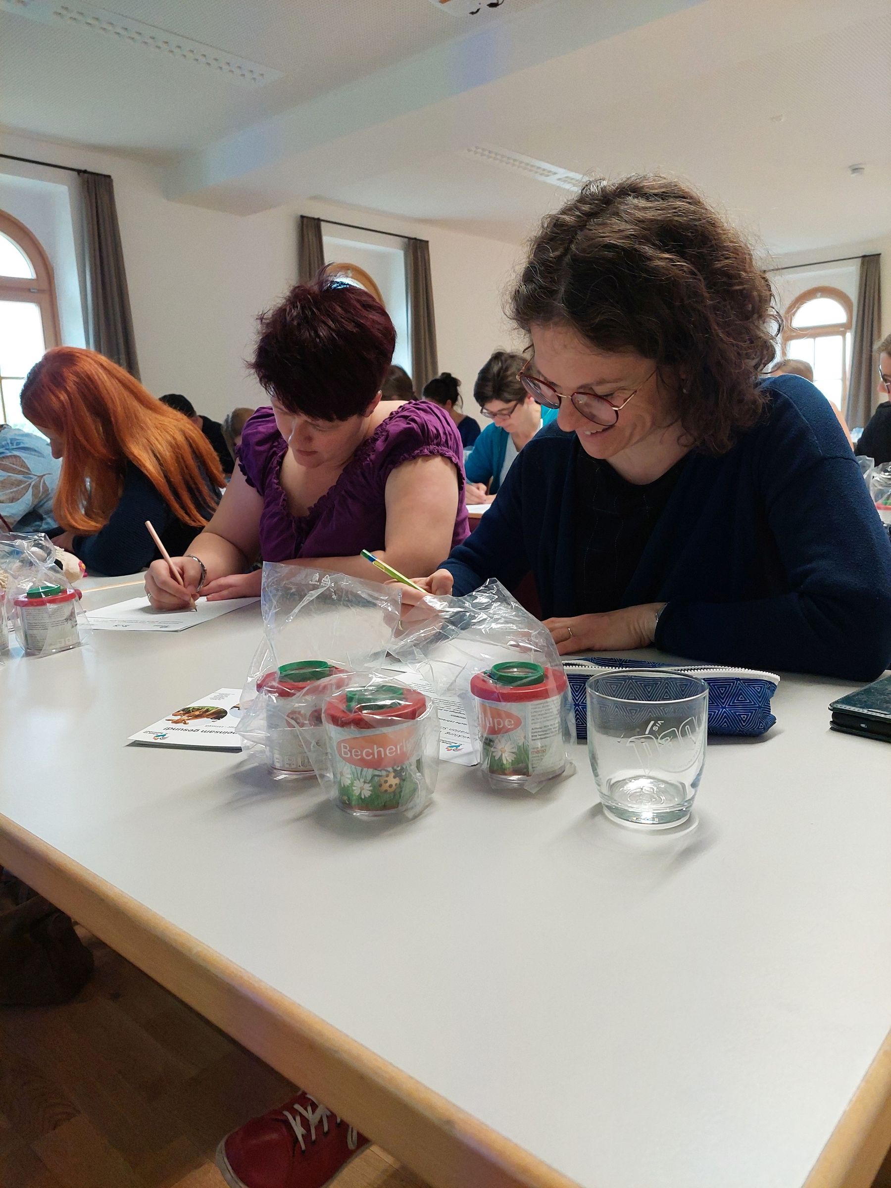 20250521_094639.jpg © LK Kärnten 20250521_094639.jpg © LK Kärnten