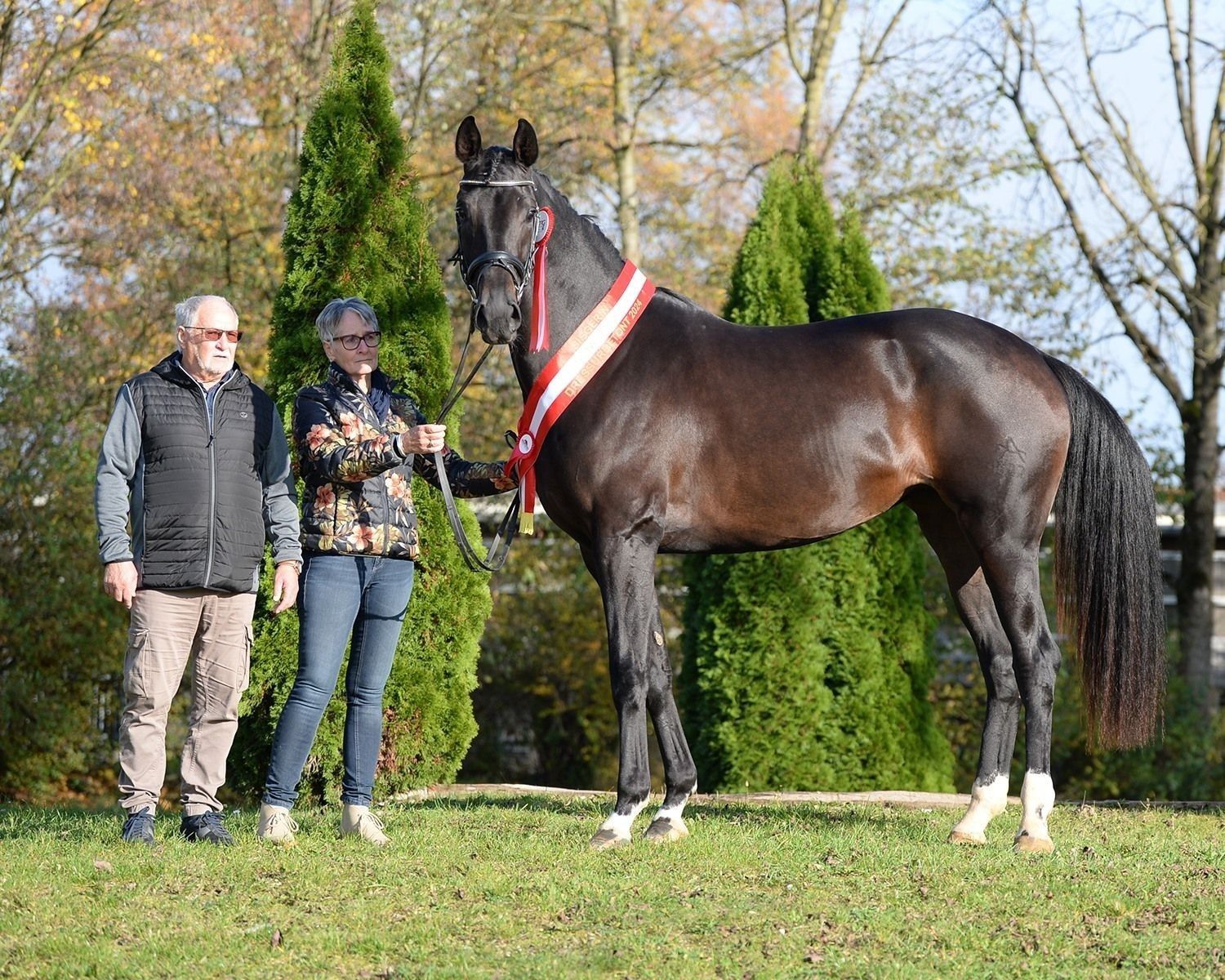 LP Darcey MW Copyright Pferdezentrum Stadl-Paura.jpg © Pferdezentrum Stadl_Paura LP Darcey MW Copyright Pferdezentrum Stadl-Paura.jpg © Pferdezentrum Stadl_Paura