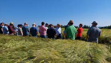 Berater-Feldbegehung in Bad Wimsbach-Neydharting, 13. Juni 2025