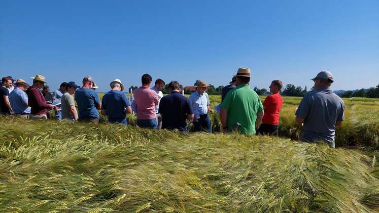 Berater-Feldbegehung in Bad Wimsbach-Neydharting, 13. Juni 2025