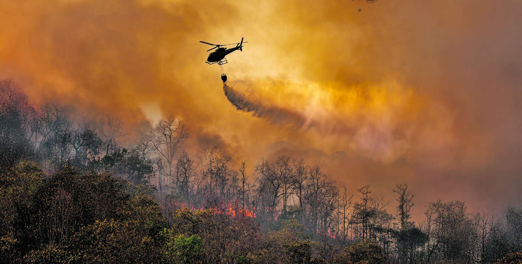 Waldbrand-Bekämpfung.jpg © AdobeStock_1193175199/LKÖ
