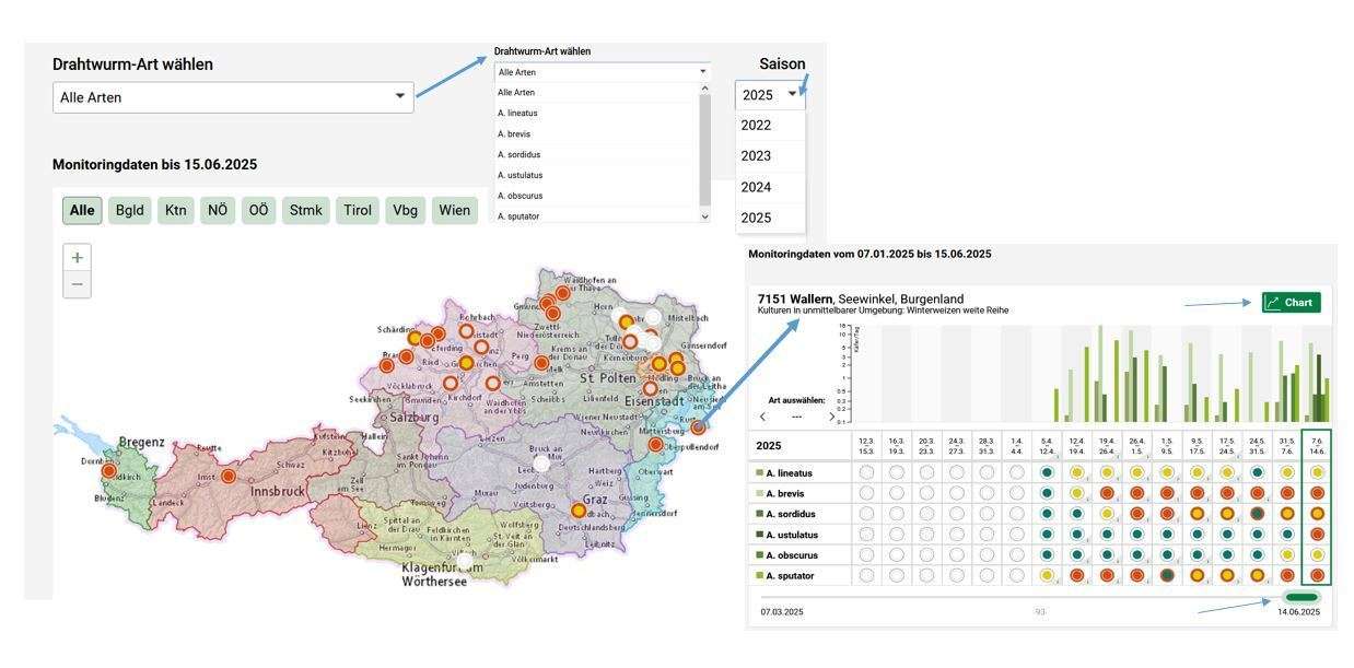 Monitoringkarte für Drahtwurm-Arten auf warndienst.at.jpg © warndienst.at