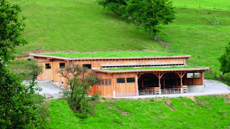 Außenklima-Schafstall Windisch.jpg © LK Steiermark