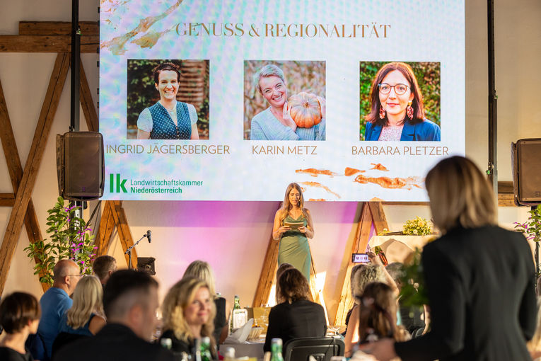 © Becca Hofmann/Soul Space Studios © Becca Hofmann/Soul Space Studios