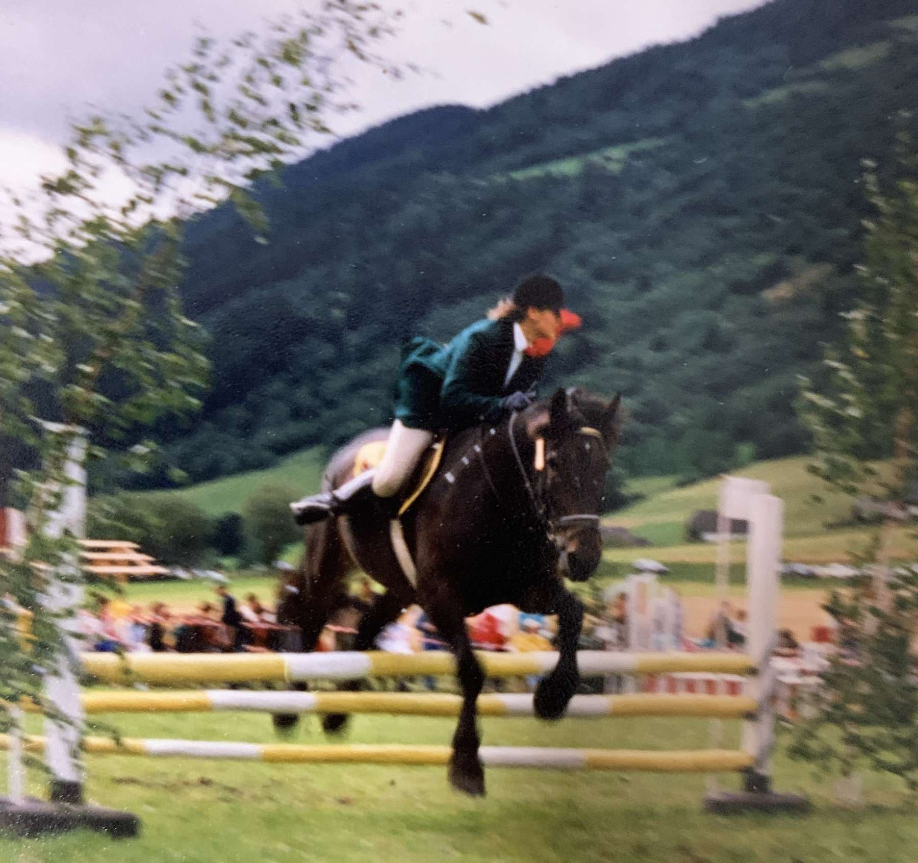 sb25_mb_pferd.jpg © Privat