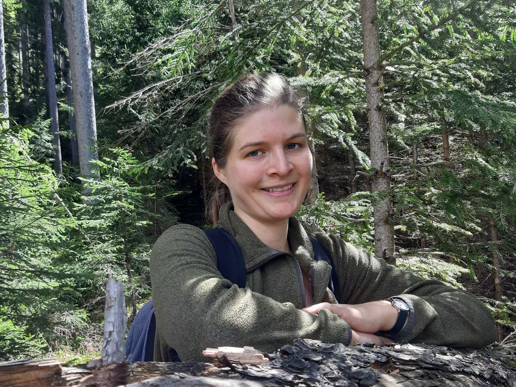 Kandidat steirischer Bauernhof des Jahres 2026 © Archiv