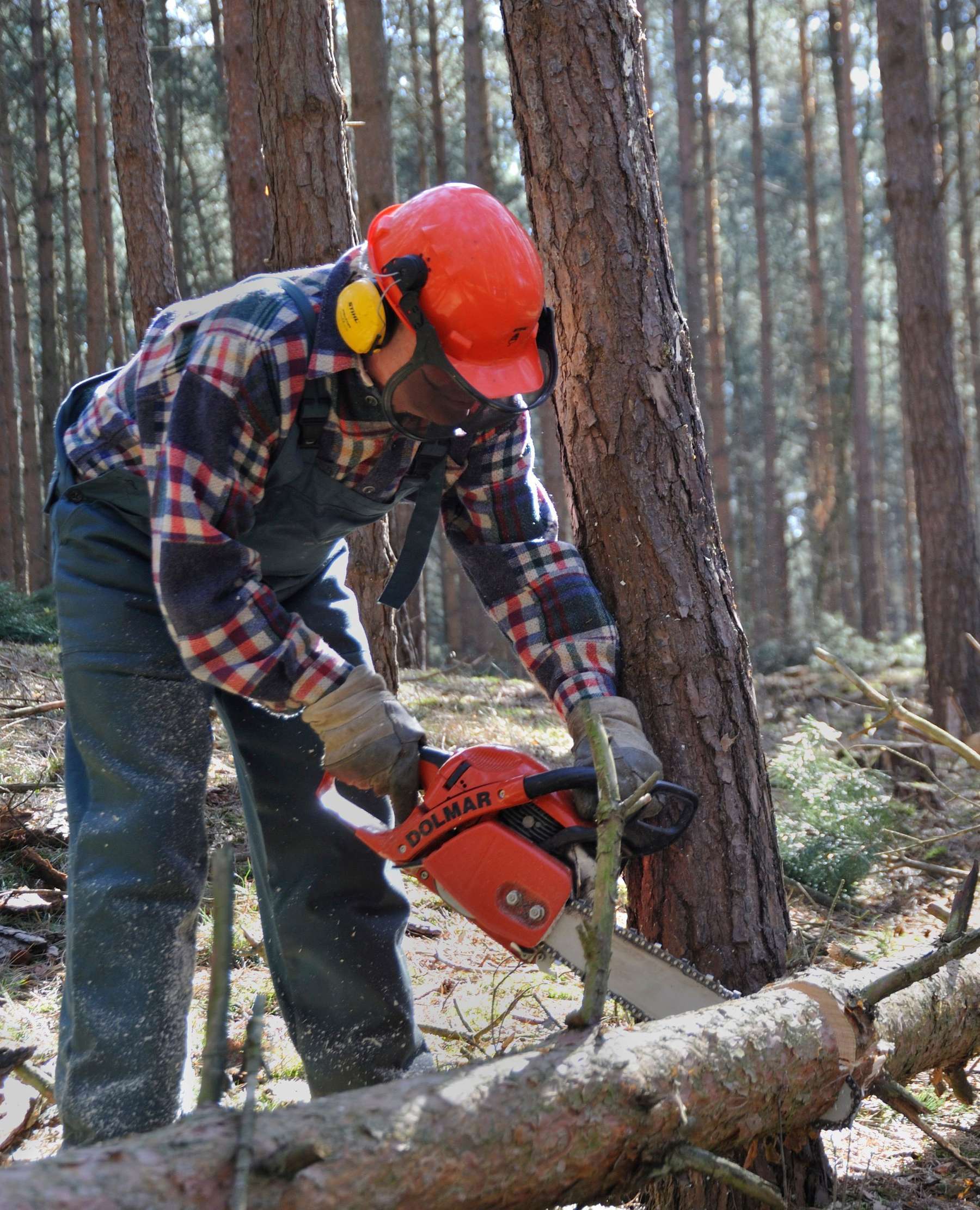 Waldarbeit.jpg © Hubertus Blume/ stock.adobe.com