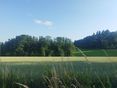 © Landwirtschaftskammer Oberösterreich/Jell-Anreiter