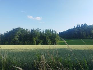 © Landwirtschaftskammer Oberösterreich/Jell-Anreiter © Landwirtschaftskammer Oberösterreich/Jell-Anreiter