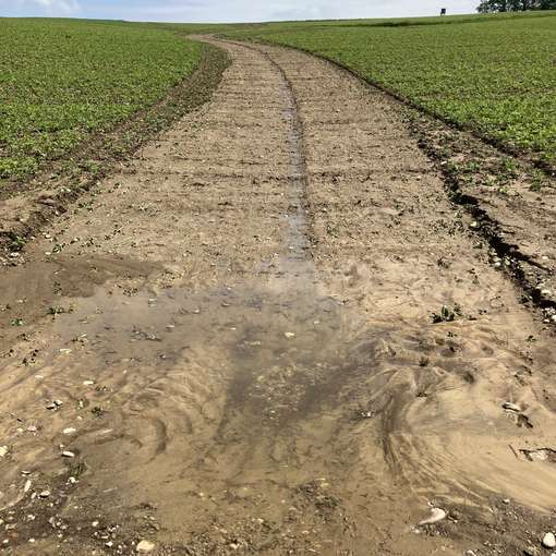 bevorzugter_Abflussweg_Soja.jpg © Land OÖ/Friedl-Haubner