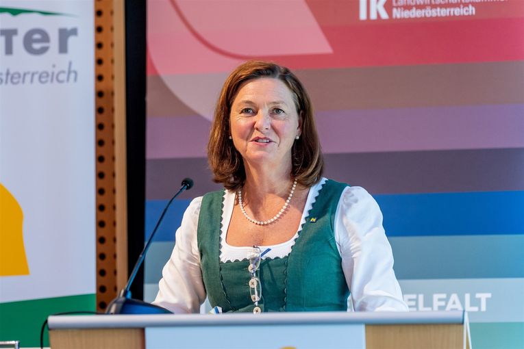© Georg Pomassl/LK Niederösterreich © Georg Pomassl/LK Niederösterreich