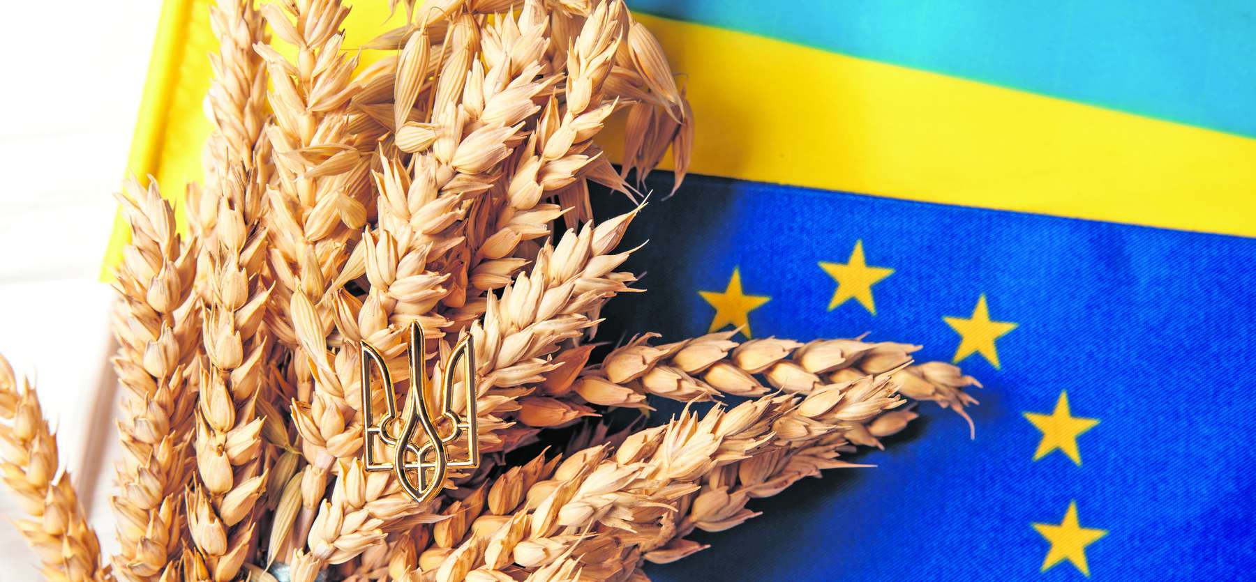Agrarimporte in EU.jpg © AdobeStock/Serenkonata