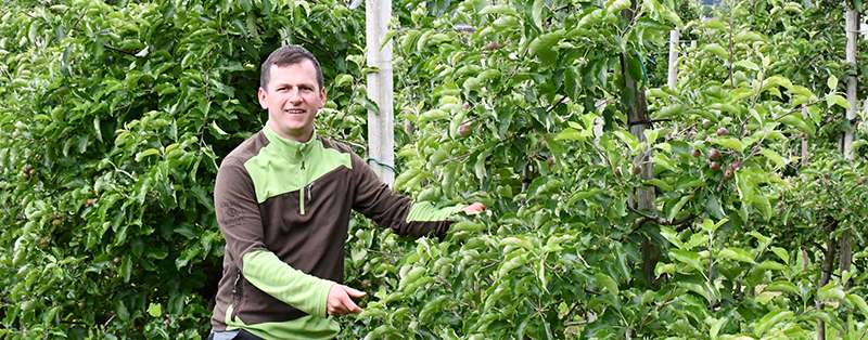 Stallbau.jpg © LK Vbg. Stallbau.jpg © LK Vbg.