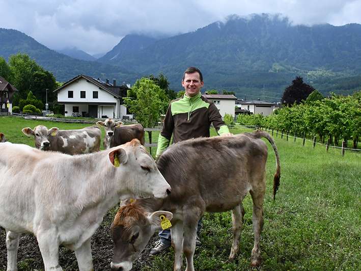 Stallbau.jpg © LK Vbg. Stallbau.jpg © LK Vbg.