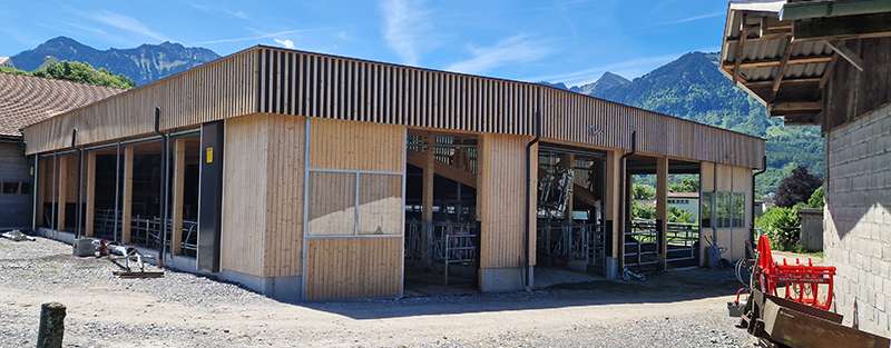 Stallbau.jpg © LK Vbg. Stallbau.jpg © LK Vbg.