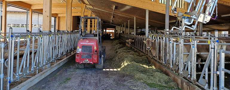 Stallbau.jpg © LK Vbg. Stallbau.jpg © LK Vbg.