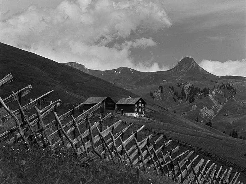 Landwirtschaft früher.jpg © Sammlung Franz Beer, Stadtarchiv Dornbirn